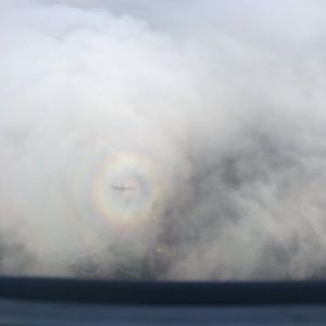 Meet your Posher, Lesley